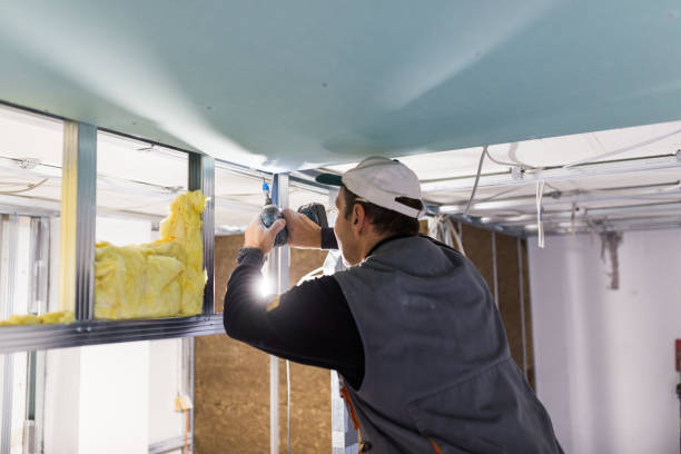 Best Specialized Insulation Services in USA